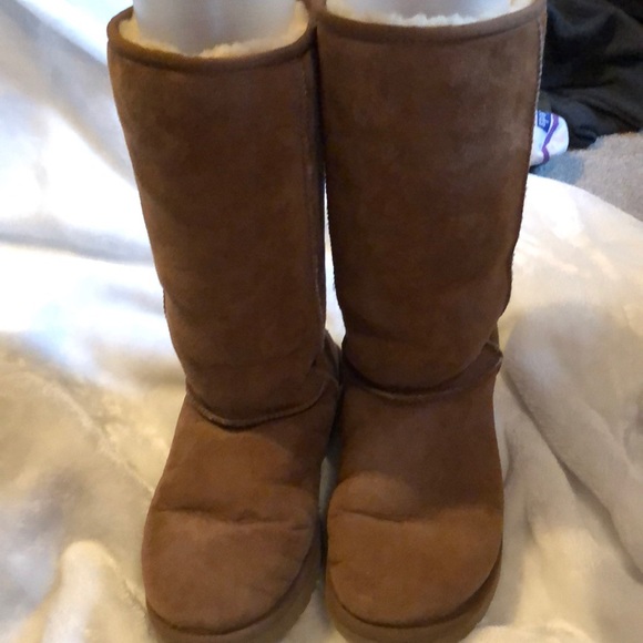 UGG Shoes - Ugg boots